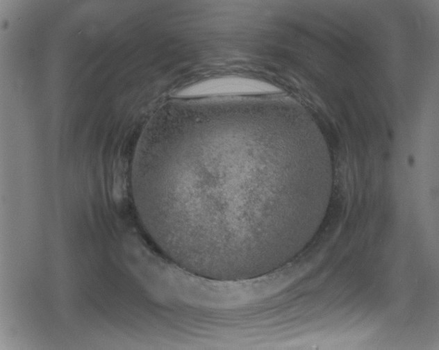 X0000078860030200611131214