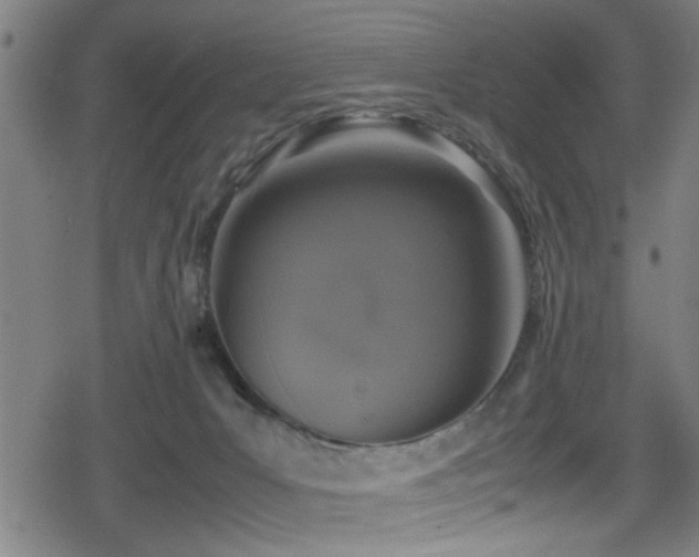 X0000078860031200611131214