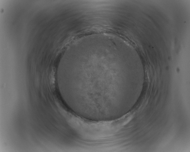 X0000078860032200611131214