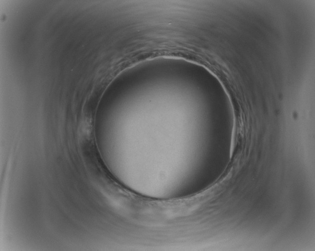 X0000078860033200611131214