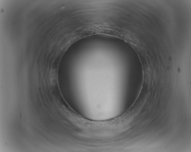 X0000078860034200611131214