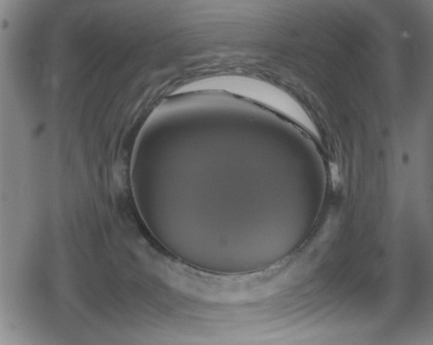 X0000078860035200611131214