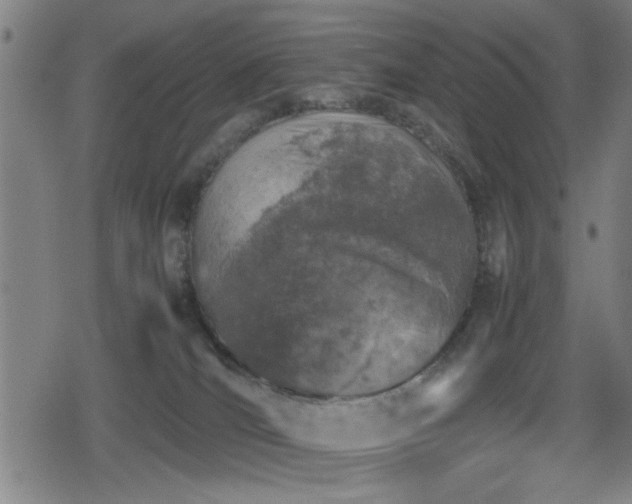 X0000078860036200611131214