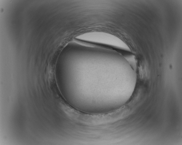 X0000078860037200611131214