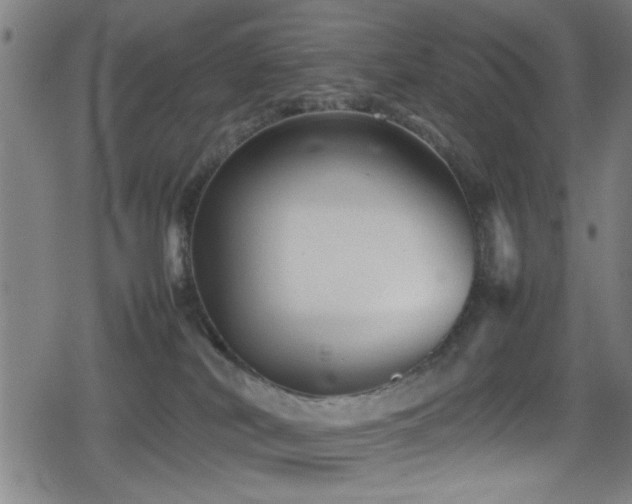 X0000078860038200611131214