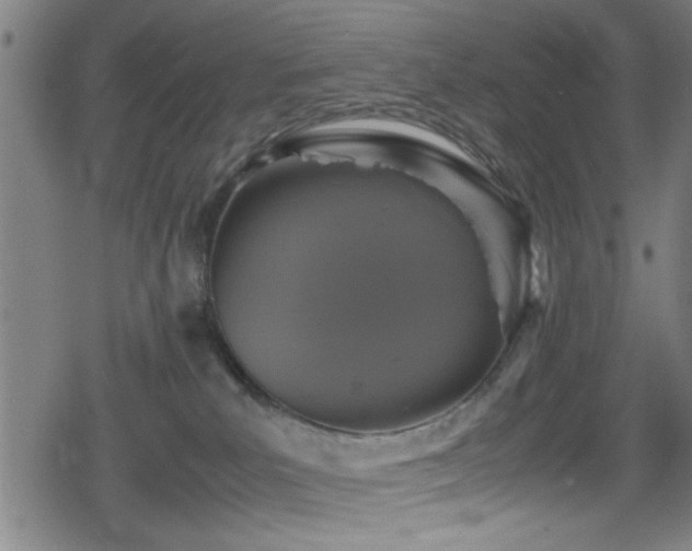 X0000078860039200611131214