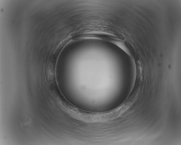 X0000078860040200611131214