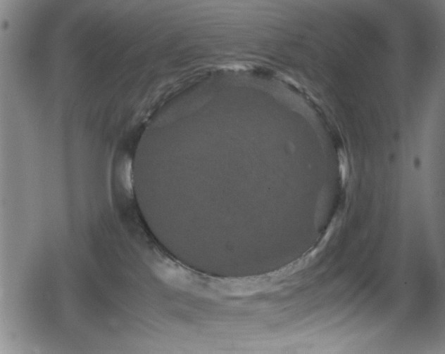 X0000078860041200611131214