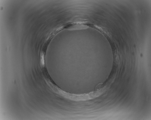 X0000078860042200611131214