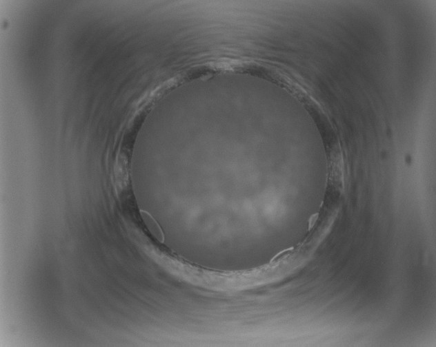 X0000078860043200611131214