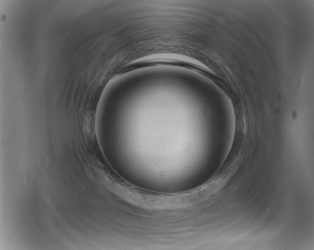 X0000078860044200611131214