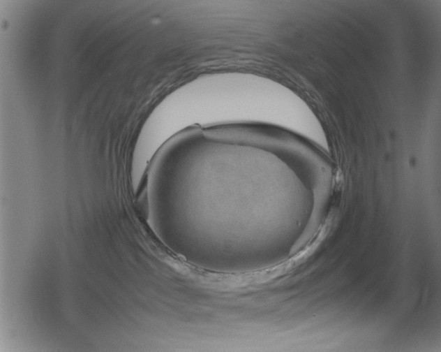 X0000078860045200611131214