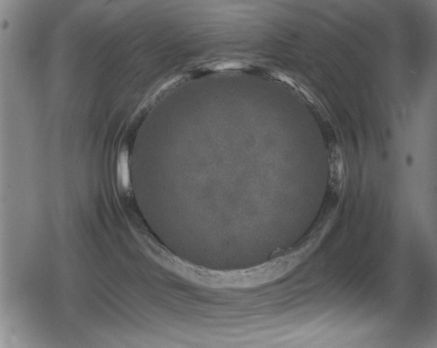 X0000078860046200611131214