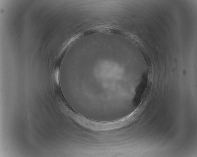 X0000078860047200611131214