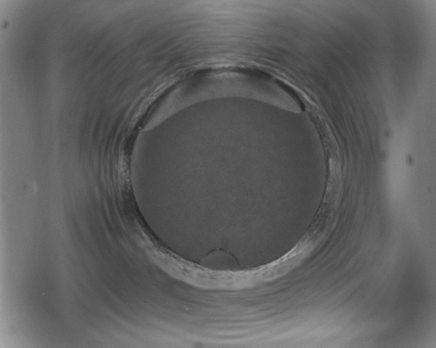 X0000078860048200611131214