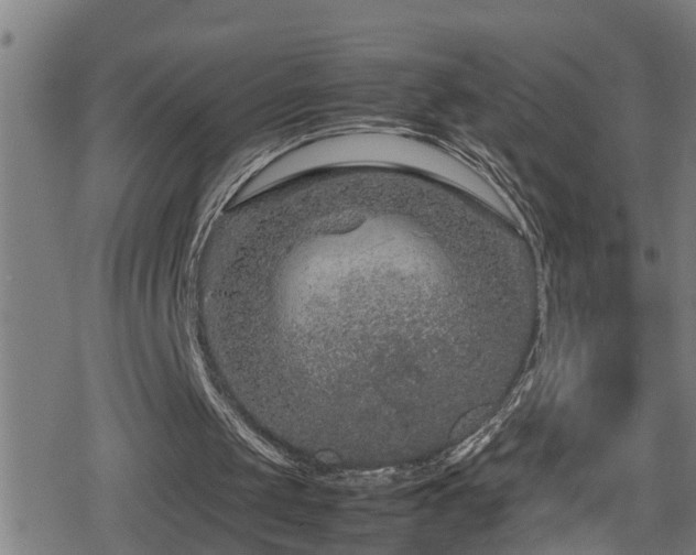 X0000078860049200611131213