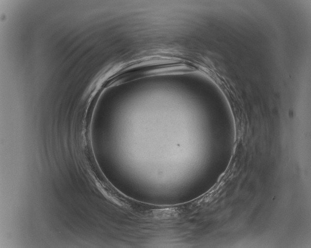 X0000078860050200611131213