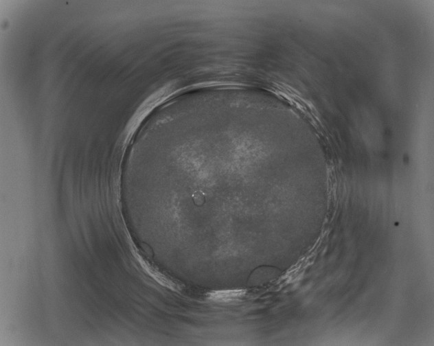 X0000078860051200611131213