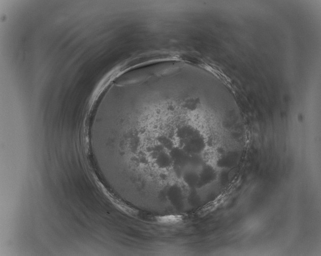 X0000078860053200611131213