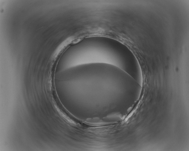 X0000078860054200611131213