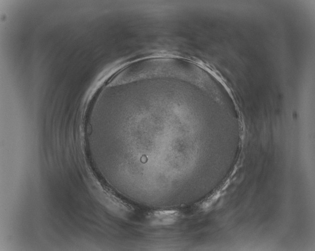 X0000078860055200611131213