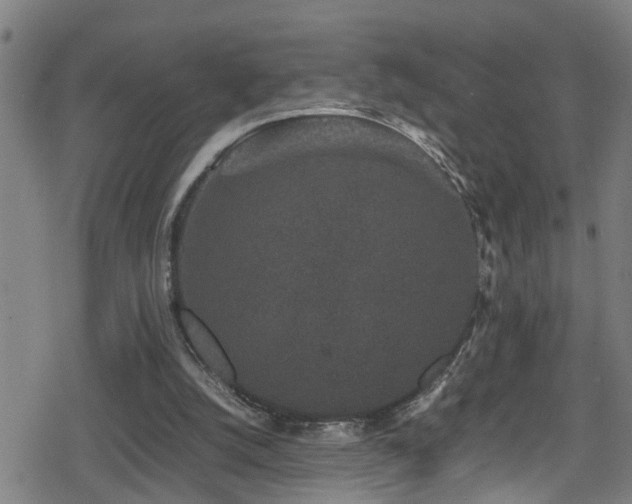 X0000078860056200611131213