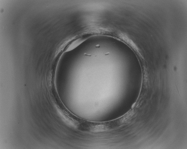 X0000078860058200611131213