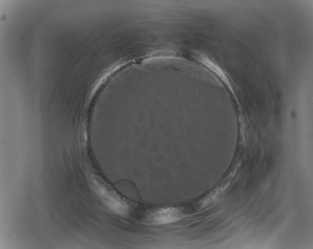 X0000078860059200611131213