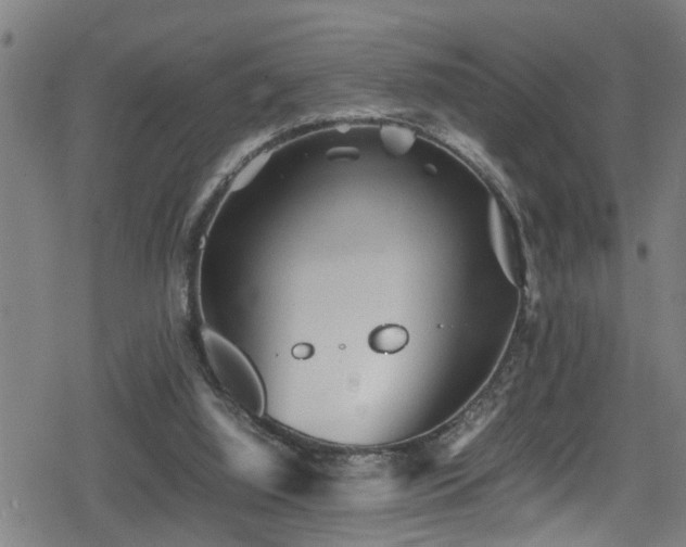 X0000078860060200611131213