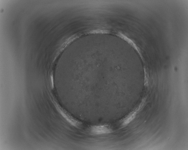 X0000078860061200611131213