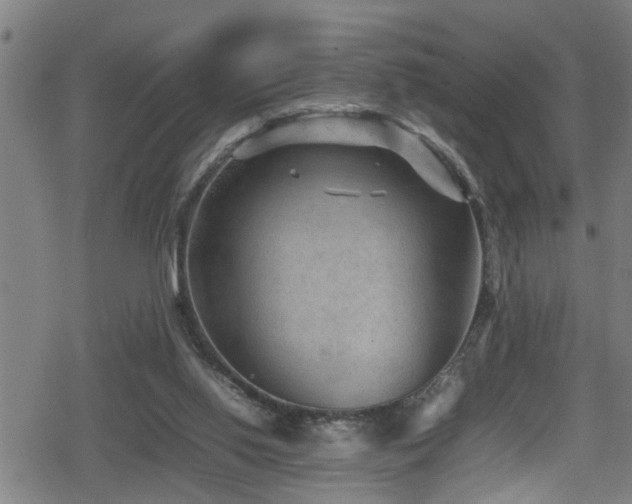 X0000078860062200611131213