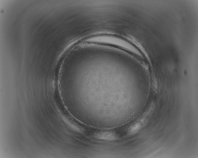 X0000078860063200611131213