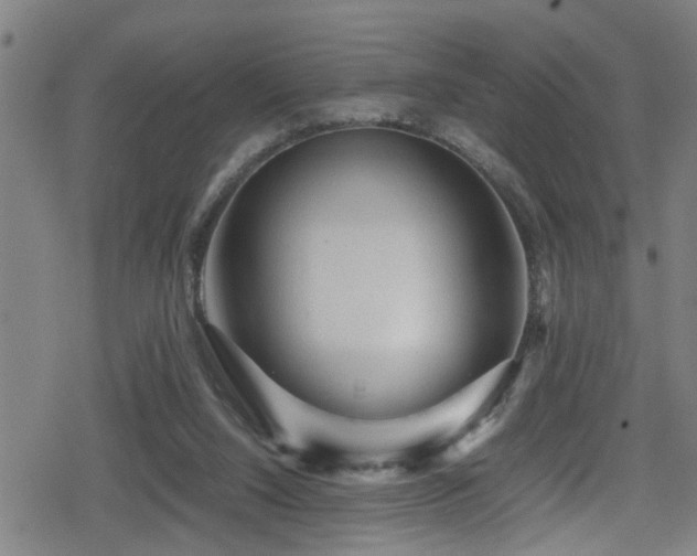 X0000078860064200611131213