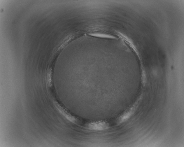 X0000078860065200611131213