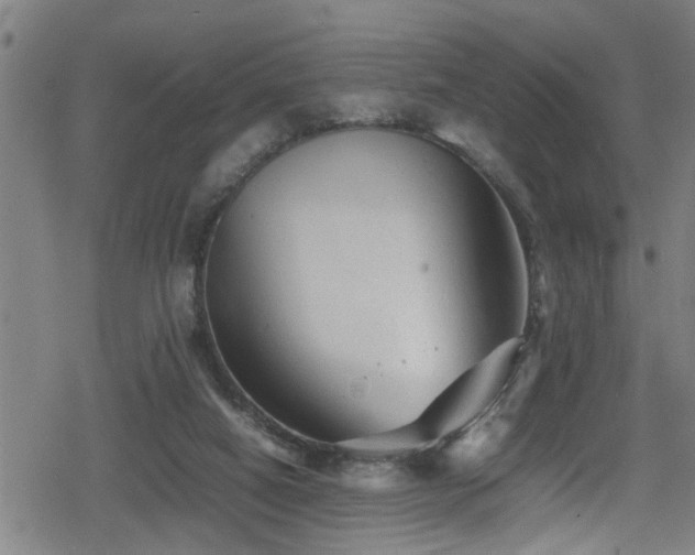 X0000078860066200611131213