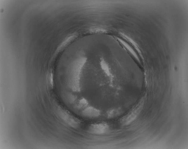 X0000078860067200611131213