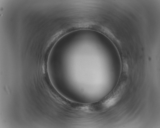 X0000078860068200611131213