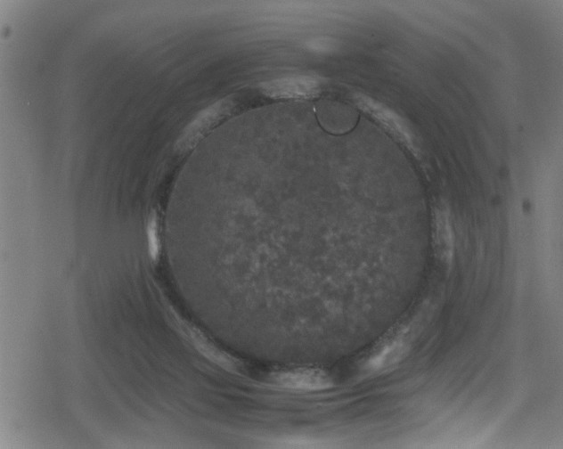 X0000078860069200611131213