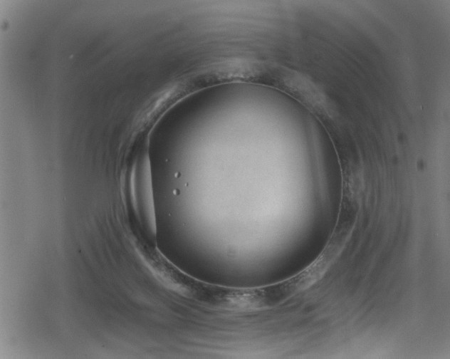 X0000078860070200611131213