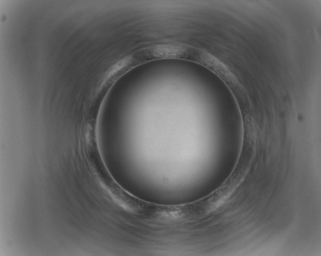 X0000078860071200611131213