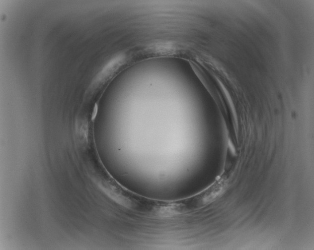 X0000078860072200611131213