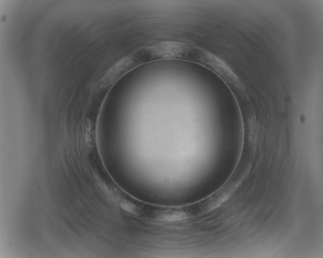 X0000078860073200611131213