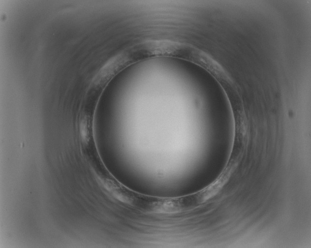 X0000078860074200611131213