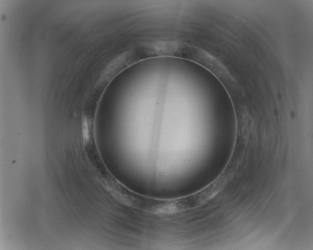 X0000078860075200611131213