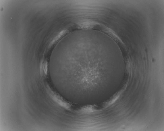 X0000078860076200611131213