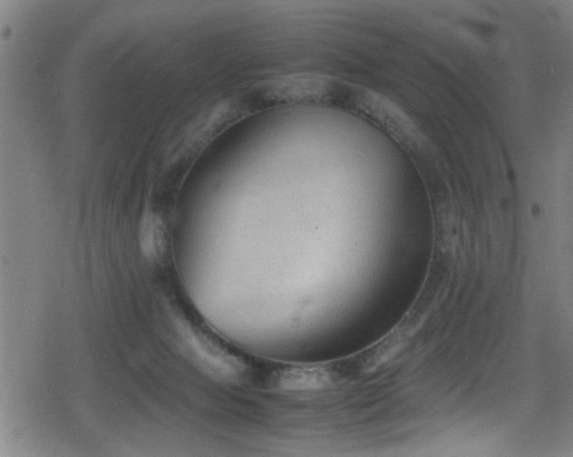 X0000078860077200611131213