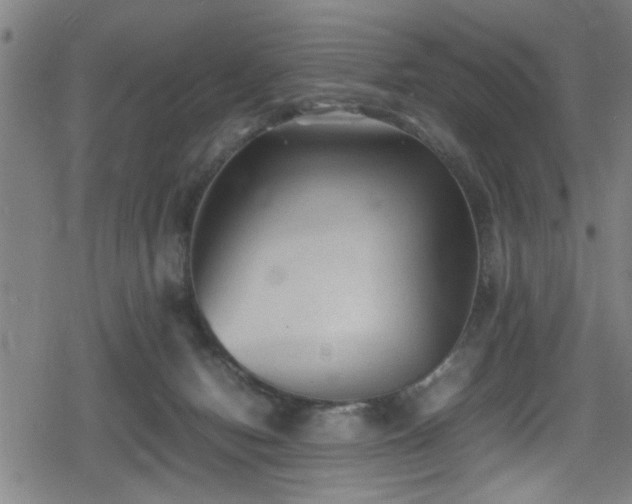 X0000078860078200611131213