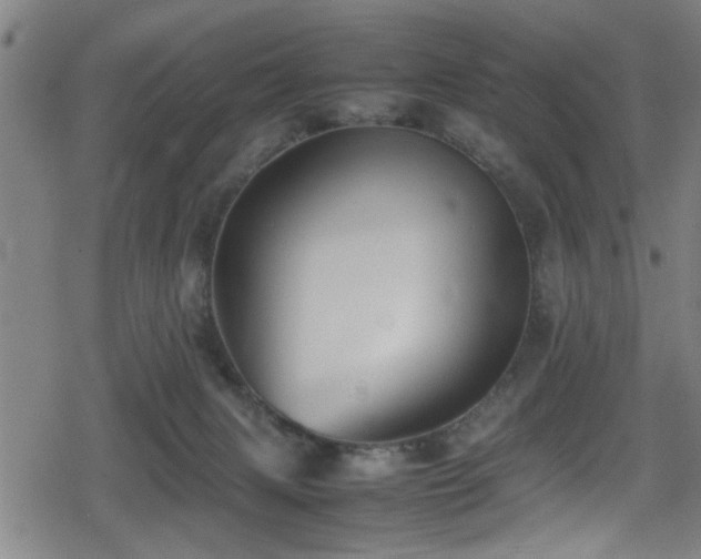 X0000078860079200611131213