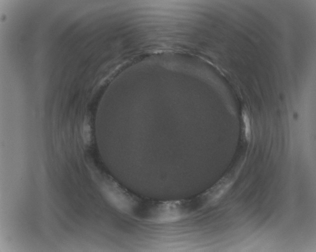 X0000078860080200611131213