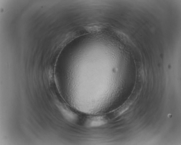 X0000078860081200611131213